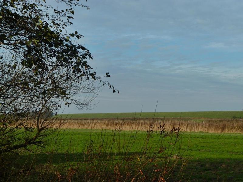 Villa Deichbrise Greetsiel Esterno foto